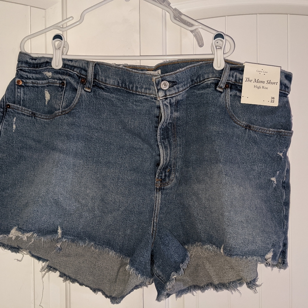 Abercrombie & Fitch High Rise Curve Love Shorts in size 22